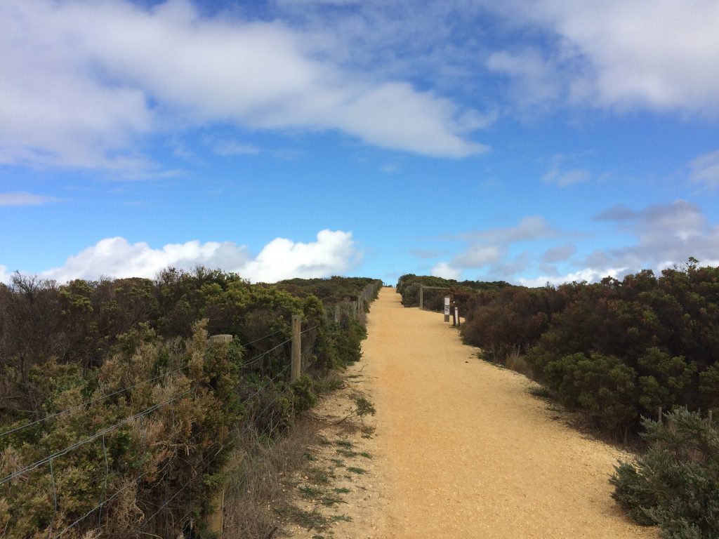 One of the hills I conquered in Jan Juc as part of my training for the half marathon