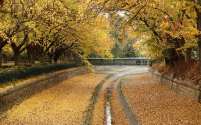 The best places to run in Bendigo