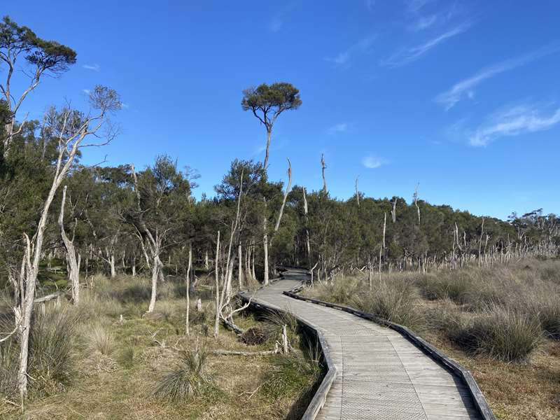 conservation-hill-and-rhyll-inlet-walks-(phillip-island)-embed06